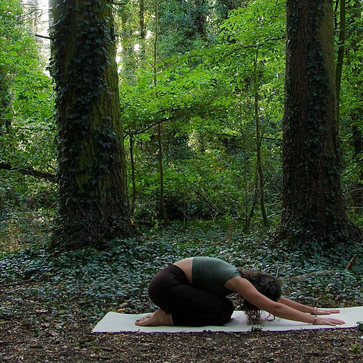 A resting child pose on a mat in a quiet Hertfordshire wood, tall ivy-covered trunks above